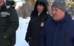 Лесничие вышли на тропу войны с нарушителями