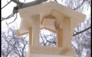 15 птичьих столовых открылись в Первоуральске