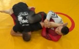 Звезды боев без правил дали мастер-класс первоуральским спортсменам
