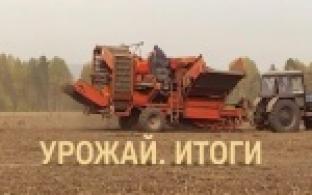 Сельхозпроизводители завершили уборочную кампанию