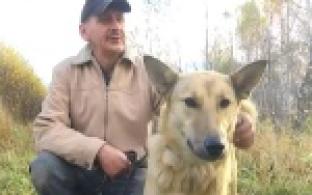 Первоуральский приют приглашает за питомцем