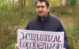 Березовую рощу снова хотят вырубить