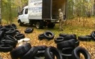 Автопокрышки из леса увезли на утилизацию