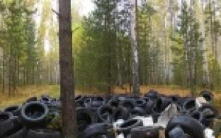 Первоуральский лес полон не грибов, а покрышек