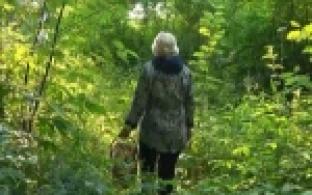 В Первоуральске началась грибная охота