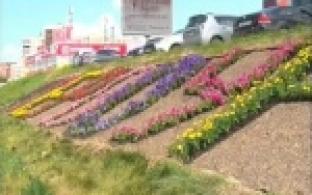 Появилась клумба с названием города