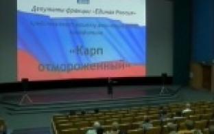 Единороссы устроили бесплатный кинопоказ