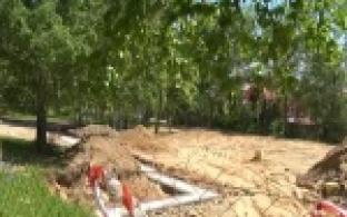 Остановят ли вырубку деревьев в городском парке?