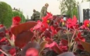 Высадка цветов на центральных аллеях