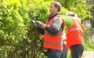 В отряды мэра попадут более 250 подростков