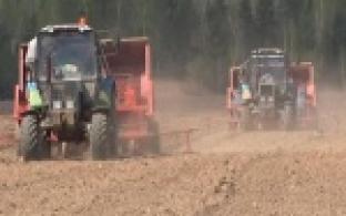 В Первоуральске разгар посевной кампании
