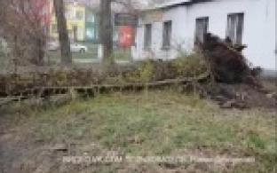 Стихия разбушевалась