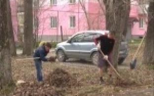 Предприниматели навели порядок возле офисов