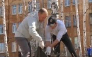 Администрация прибралась в березовой роще