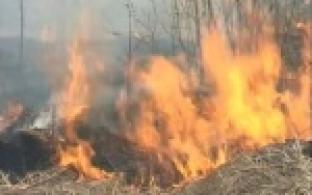 Больше полусотни пожаров за три дня