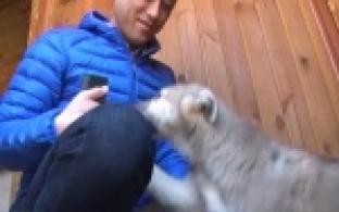 О первоуральском приюте расскажут в Японии