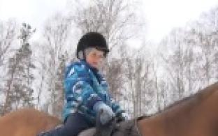 Конный клуб «Старт» выселяют