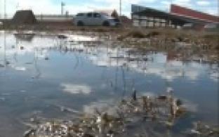 В Талице борются с талыми водами