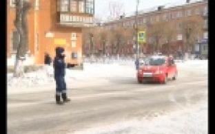 Цветы для автоледи