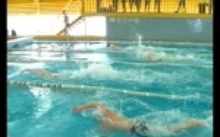 Соревновались на лыжне, в воде и на паркете