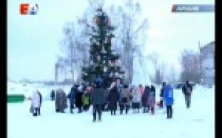 Более десятка елок засияют огнями