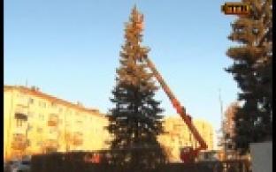 В Первоуральске начали украшать елки