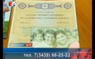 Ощутимая поддержка