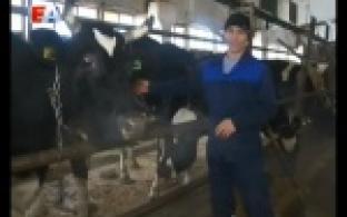 Профессиональный праздник работников совхоза