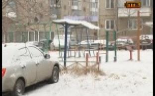 Двор как яблоко раздора