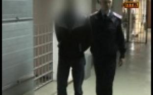 Крал вещи и поджигал машины