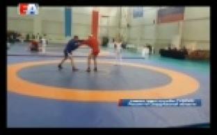 Пополнили копилку медалей