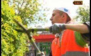 Первый трудовой опыт и зарплата