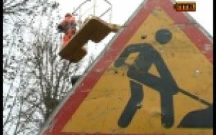 Тополя приобретают новый вид