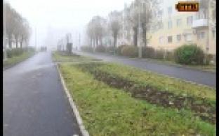 Первоуральские клумбы обработают к зиме