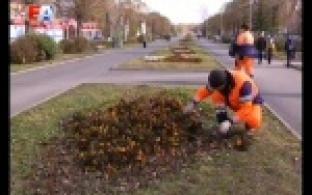 Первоуральские клумбы готовят к холодам