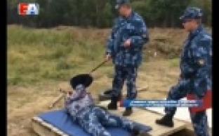Твёрдая рука, зоркий глаз и завидная выдержка