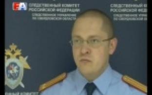 Била ребёнка ремнём и поднимала за уши