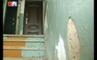 Жители Талицы пожаловались на невыносимые условия существования