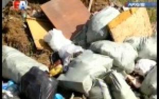 Десять тысяч кубометров мусора убрали с городских и сельских улиц
