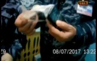 Житель Первоуральска попытался передать заключенному колонии запрещенные предметы: спрятал он их в головке сыра