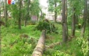 По Первоуральску пронёсся ураган