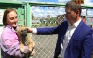 Новая отсыпанная дорога сегодня появилась возле городского приюта для животных