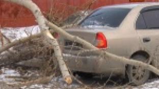 ПТВ продолжает дарить подарки первоуральцам за новости