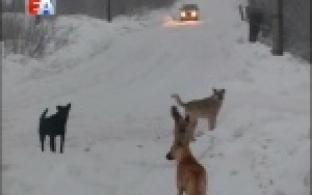 За разумный подход при максимально эффективном расходовании средств