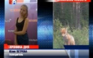 Следующую новость нам сообщили телезрители