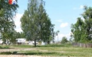 Предприняли кардинальные меры