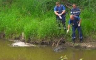 Тело мужчины  обнаружили на реке Чусовая в районе Динасовского тракта