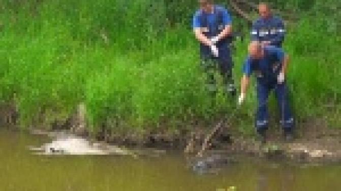 Тело мужчины  обнаружили на реке Чусовая в районе Динасовского тракта