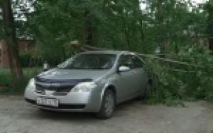 В регионе ожидаются сильные грозы и шквалистый ветер