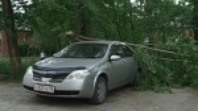 В регионе ожидаются сильные грозы и шквалистый ветер